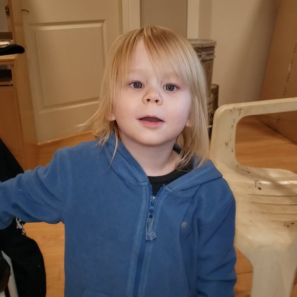 Meet your Posher, Holly - Picture 1 of 1